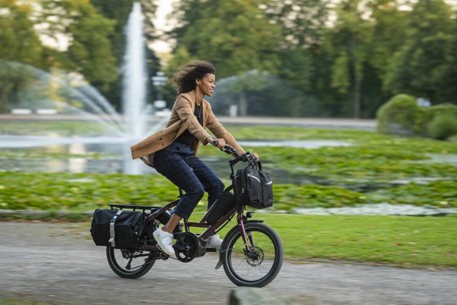Tern Quick Haul ebike with rear carrier bags