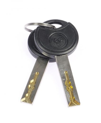 Trelock replacement key - battery lock / lock cylinder